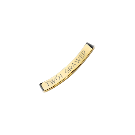 Szyna.png