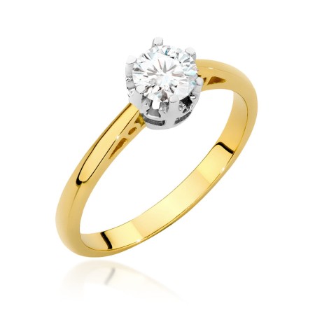 W0542.Z3.LDW.02_1.jpg