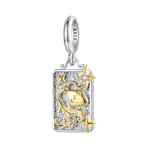 Przejdź do produktu CHARMS SREBRO 925 -ZNAK ZODIAKU WODNIK